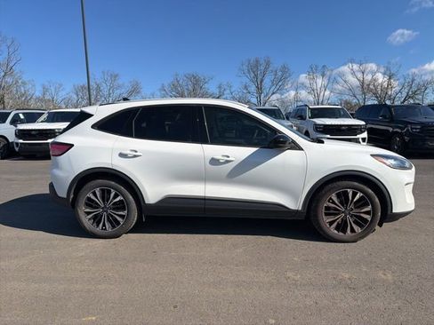 Used 2022 Ford Escape SE w/ SE Sport Appearance Package image 5