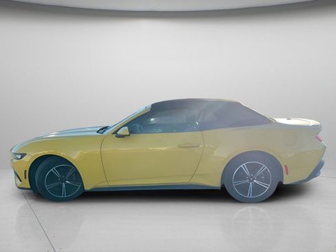 Used 2024 Ford Mustang Premium image 13