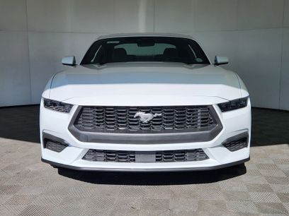 New 2026 Ford Mustang Coupe
