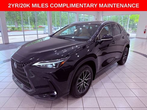 Certified 2025 Lexus NX 350 AWD w/ Premium Package image 3