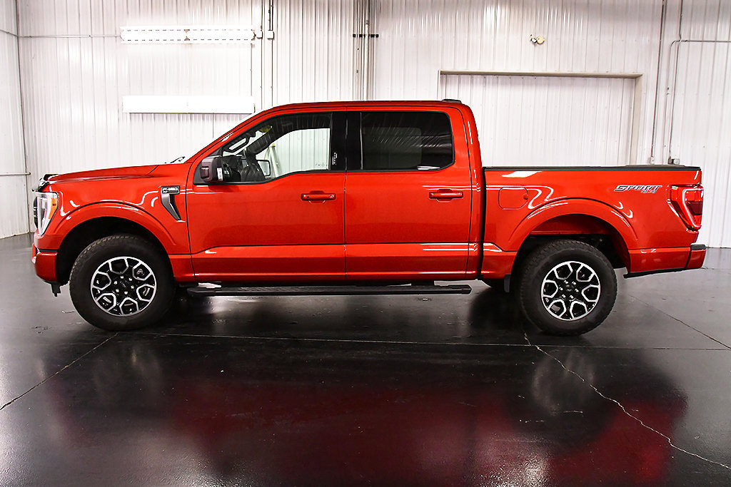 Used 2023 Ford F150 XLT w/ Equipment Group 302A High AWD/4WD image 4