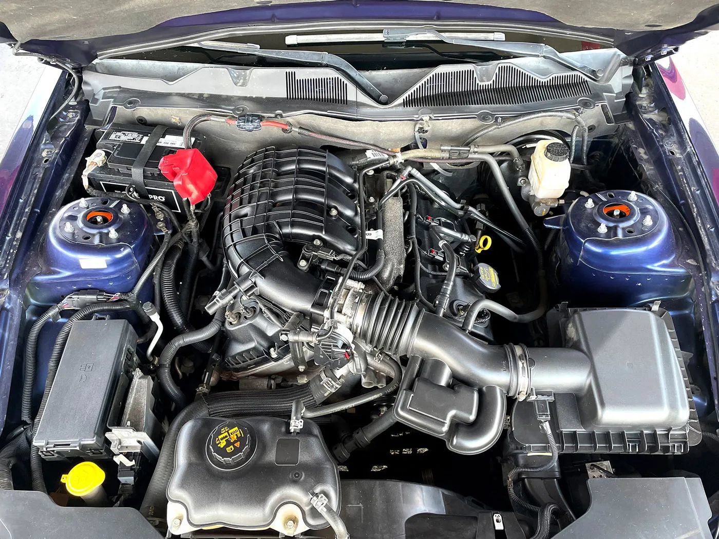 Used 2011 Ford Mustang Coupe w/ 101A Rapid Spec Order Code RWD image 15