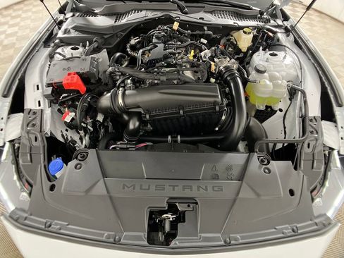 New 2025 Ford Mustang Premium w/ Mustang Nite Pony Package image 30