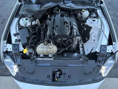 Used 2019 Ford Mustang Premium w/ Equipment Group 201A image 20