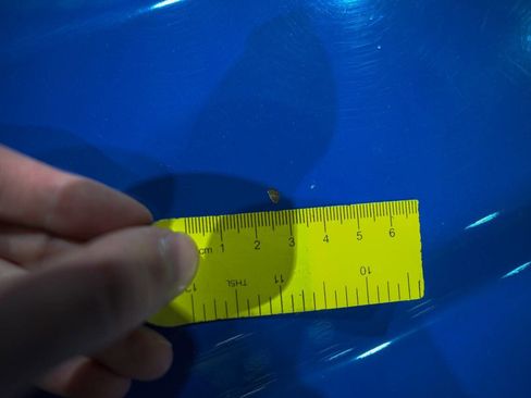 Used 2014 Dodge Charger Police image 26