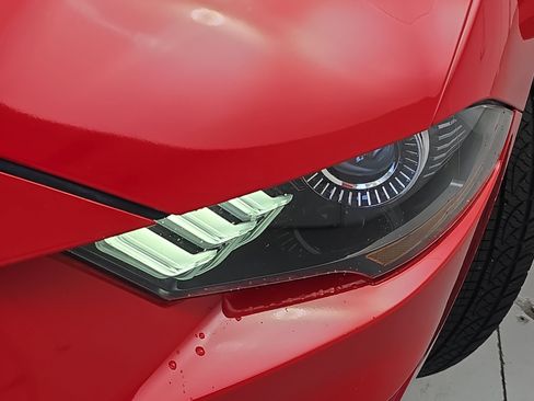 Used 2019 Ford Mustang GT Premium w/ Ford Safe & Smart Package RWD image 30