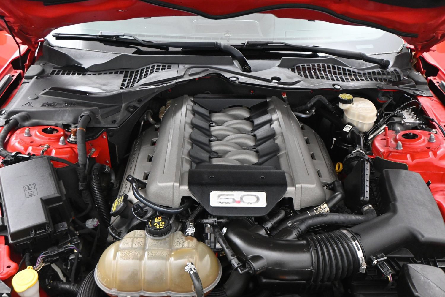 Used 2015 Ford Mustang GT RWD image 2