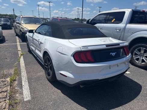 Used 2022 Ford Mustang Premium w/ Equipment Group 201A RWD image 5