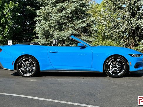 Used 2024 Ford Mustang Premium image 3