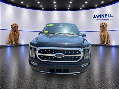 Used 2023 Ford F150 Platinum w/ Equipment Group 701A High