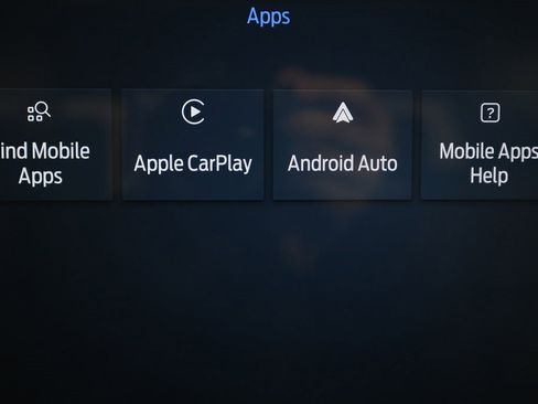 Used 2025 Ford F450 Platinum w/ FX4 Off-Road Package image 30