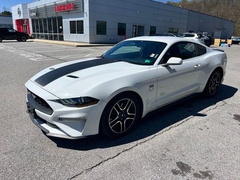 Used 2019 Ford Mustang Coupe w/ Equipment Group 101A image 3