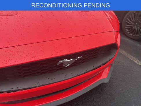 Used 2018 Ford Mustang Premium w/ Equipment Group 201A image 4