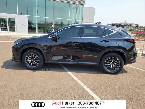 Used 2024 Lexus NX 350h AWD image 2