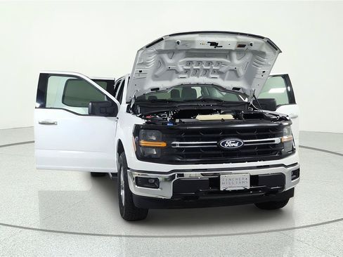 Used 2025 Ford F150 XLT w/ Equipment Group 301A Standard AWD/4WD image 5