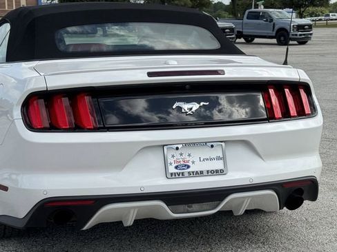 Used 2017 Ford Mustang Premium w/ Equipment Group 201A RWD image 7