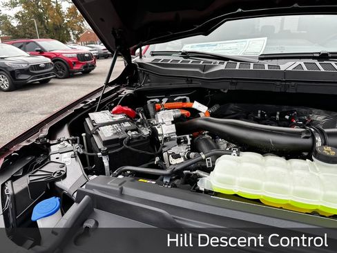 New 2025 Ford F150 XLT w/ Equipment Group 302A MID image 24