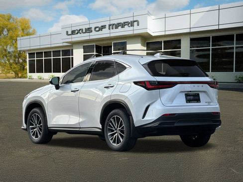 Certified 2025 Lexus NX 350h AWD w/ Cold Area Package image 3