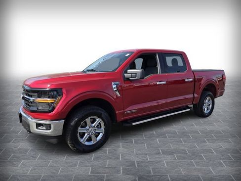 Used 2025 Ford F150 XLT w/ Equipment Group 301A Standard AWD/4WD image 3