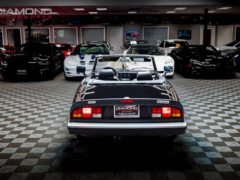 Used 1986 Alfa Romeo Spider Veloce image 25