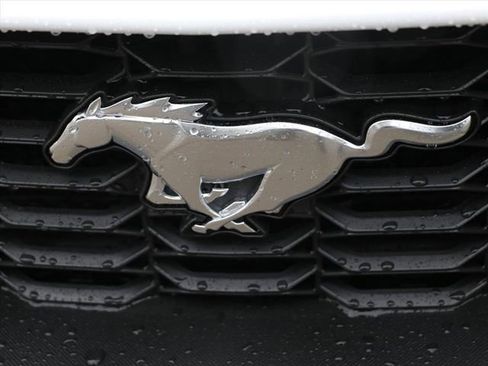 New 2026 Ford Mustang Coupe image 30