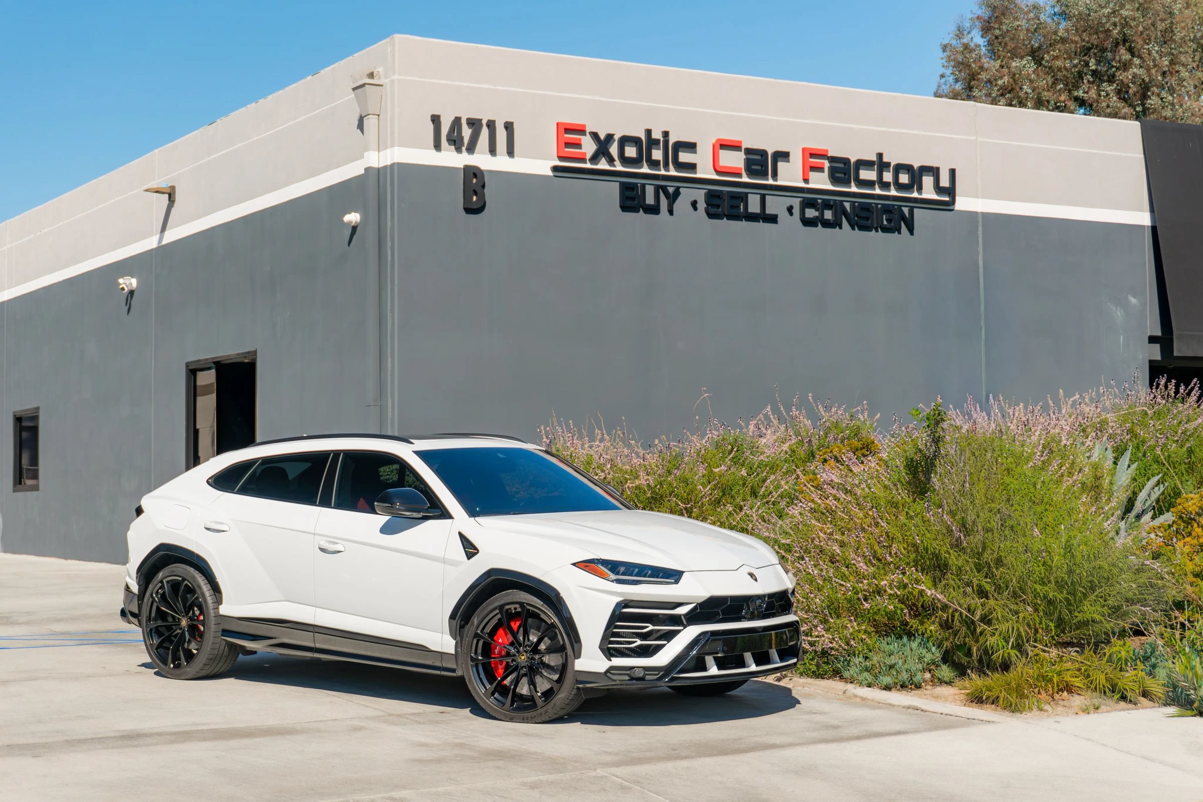Used 2021 Lamborghini Urus AWD/4WD image 1