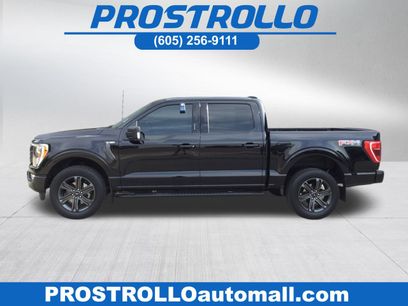Used 2023 Ford F150 XLT w/ Equipment Group 302A High