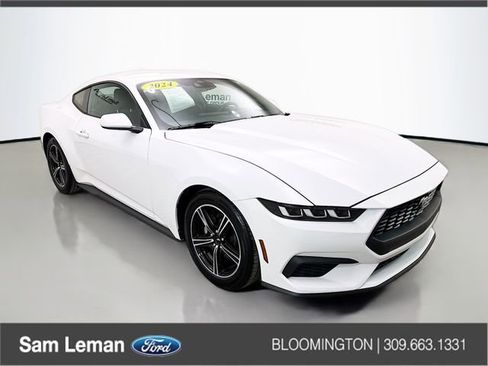 Used 2024 Ford Mustang Coupe image 1