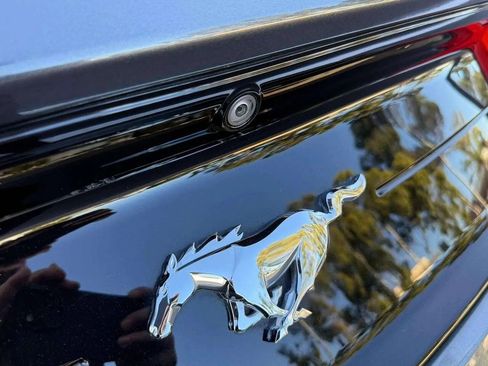 Used 2019 Ford Mustang Coupe image 24