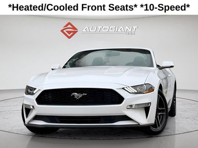 Used 2019 Ford Mustang Premium