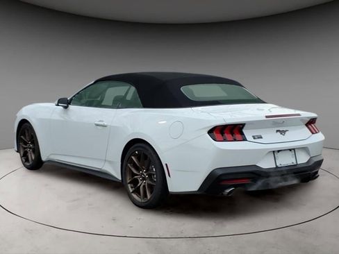 New 2026 Ford Mustang Premium w/ Bronze Appearance Package image 3