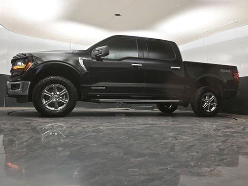 Used 2025 Ford F150 XLT w/ Equipment Group 301A Standard AWD/4WD image 12