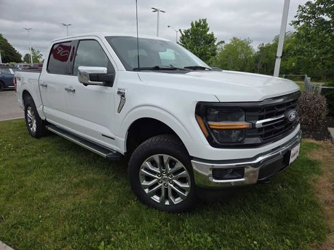 Used 2024 Ford F150 XLT w/ Equipment Group 302A MID AWD/4WD image 1