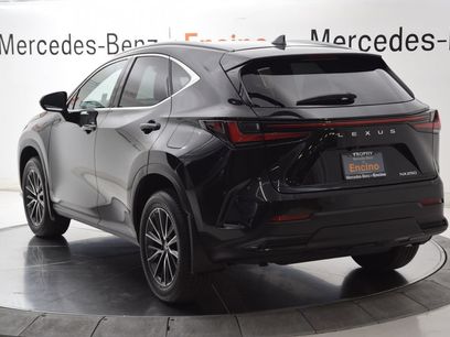 Used 2025 Lexus NX 250 FWD