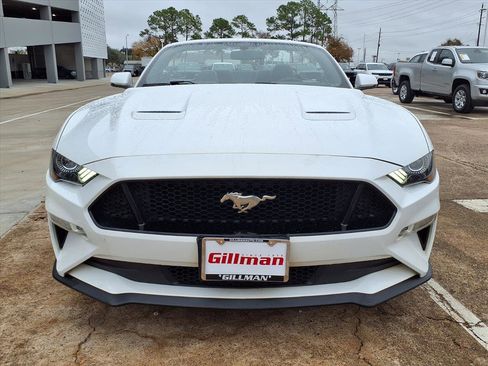 Used 2019 Ford Mustang GT Premium image 15