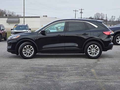 Used 2021 Ford Escape SE w/ Cold Weather Package image 4