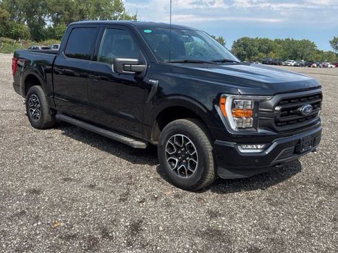 Used 2023 Ford F150 XLT w/ Equipment Group 302A High AWD/4WD image 1