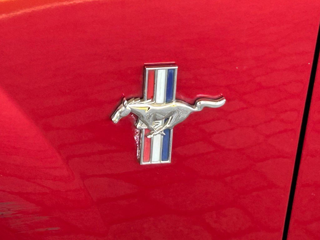 Used 2003 Ford Mustang Convertible RWD image 14