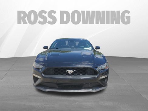 Used 2019 Ford Mustang Premium w/ Equipment Group 201A RWD image 2