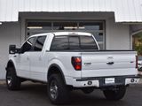 Used 2011 Ford F150 FX4 w/ FX Luxury Pkg image 3