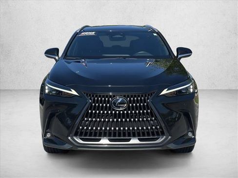Used 2025 Lexus NX 350h AWD w/ Cold Area Package image 2