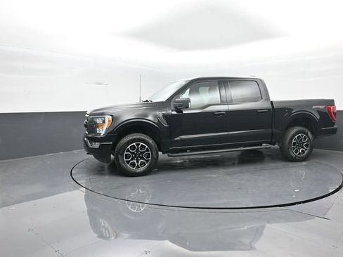 Used 2023 Ford F150 XLT w/ Equipment Group 302A High AWD/4WD image 4