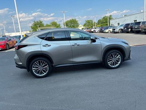 Used 2022 Lexus NX 350h AWD image 6