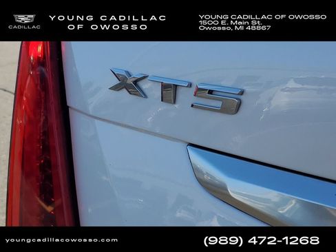 Used 2024 Cadillac XT5 Premium Luxury AWD/4WD image 33