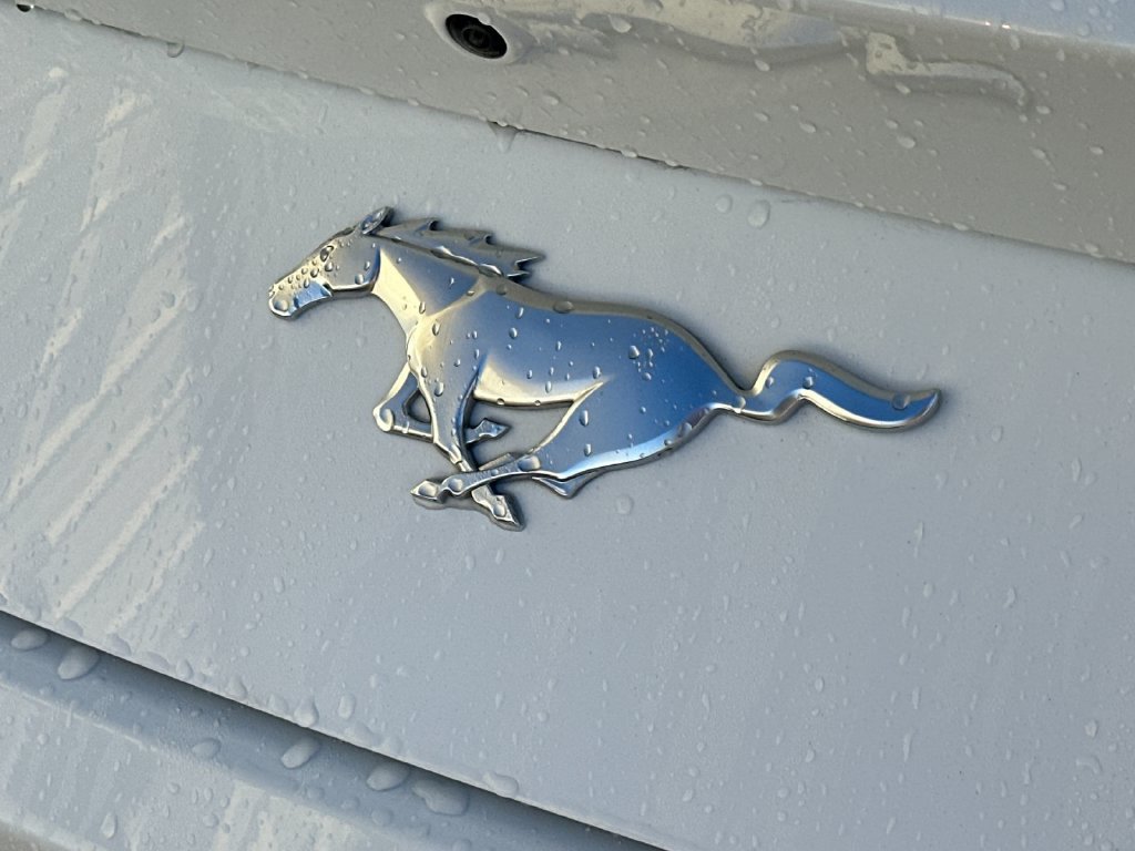 Used 2024 Ford Mustang Coupe RWD image 36