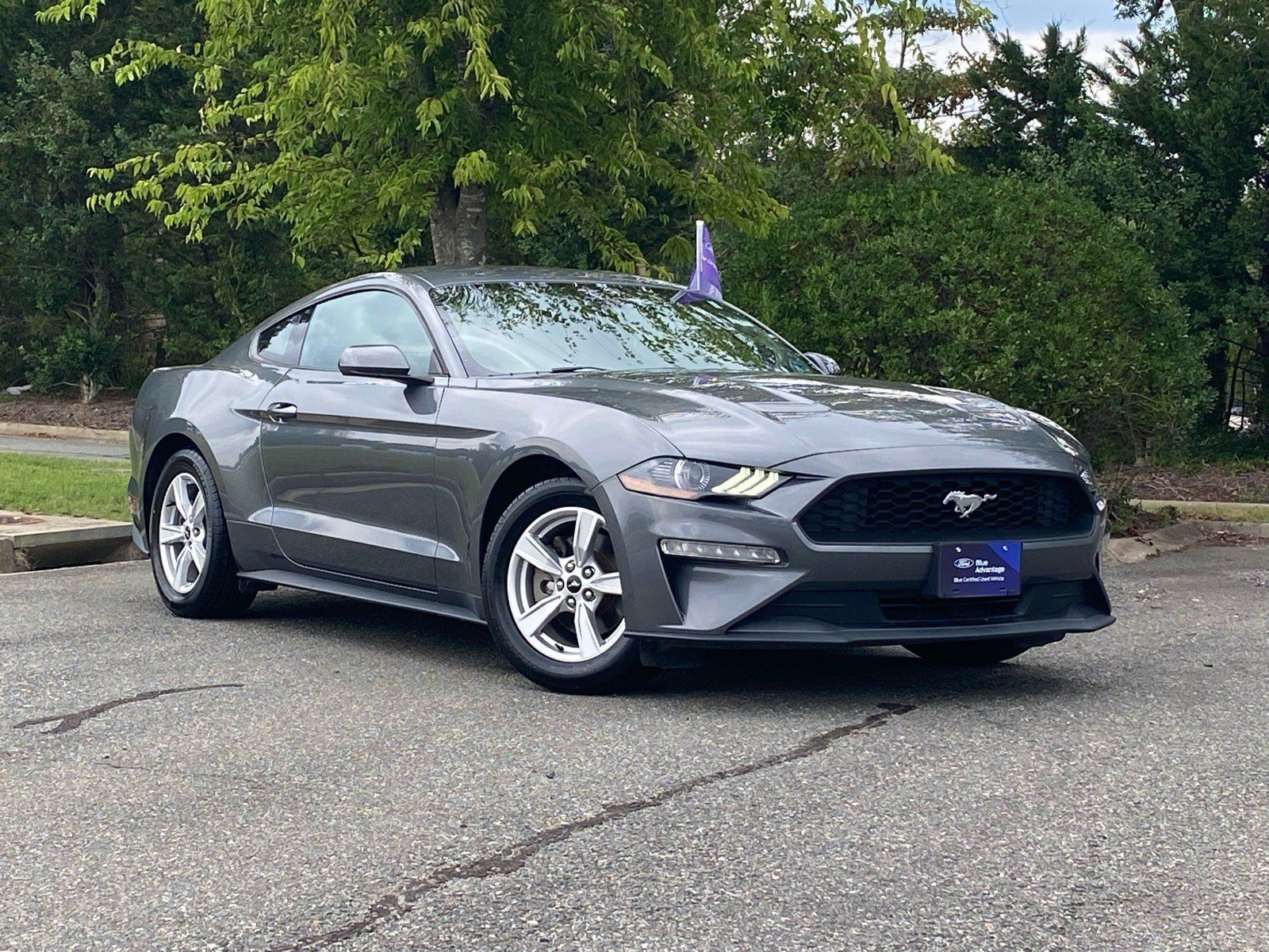 Certified 2022 Ford Mustang Coupe RWD image 2