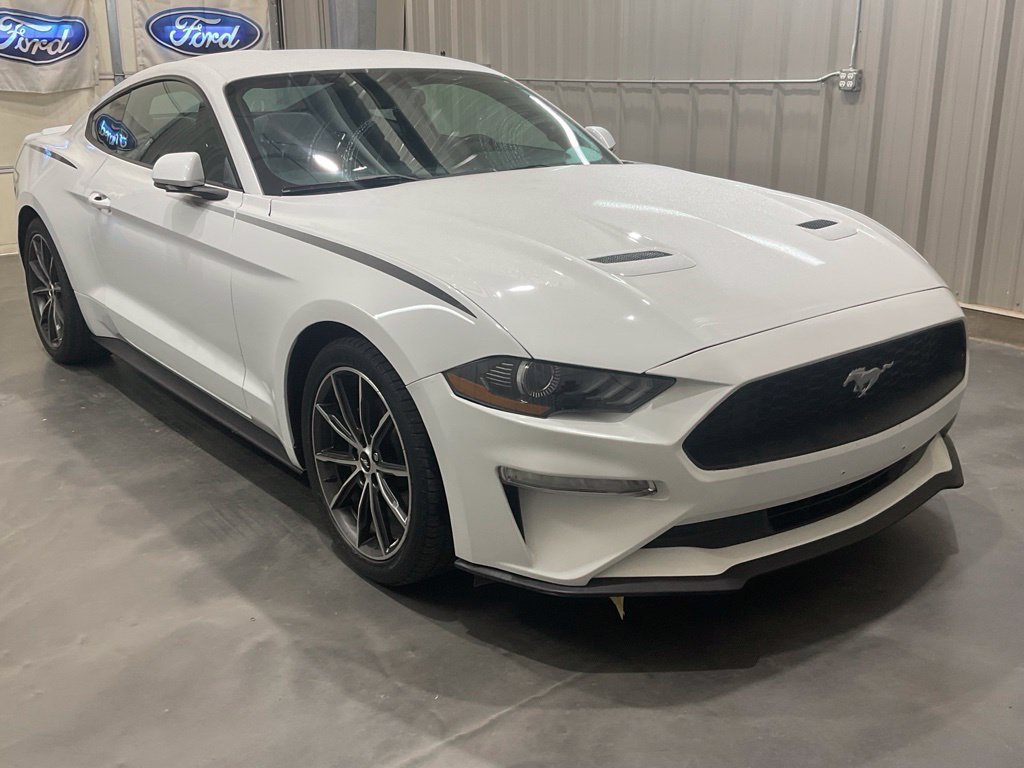 Used 2019 Ford Mustang Coupe w/ Equipment Group 101A RWD image 2