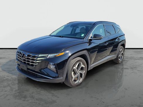 Used 2024 Hyundai Tucson Limited AWD/4WD image 5