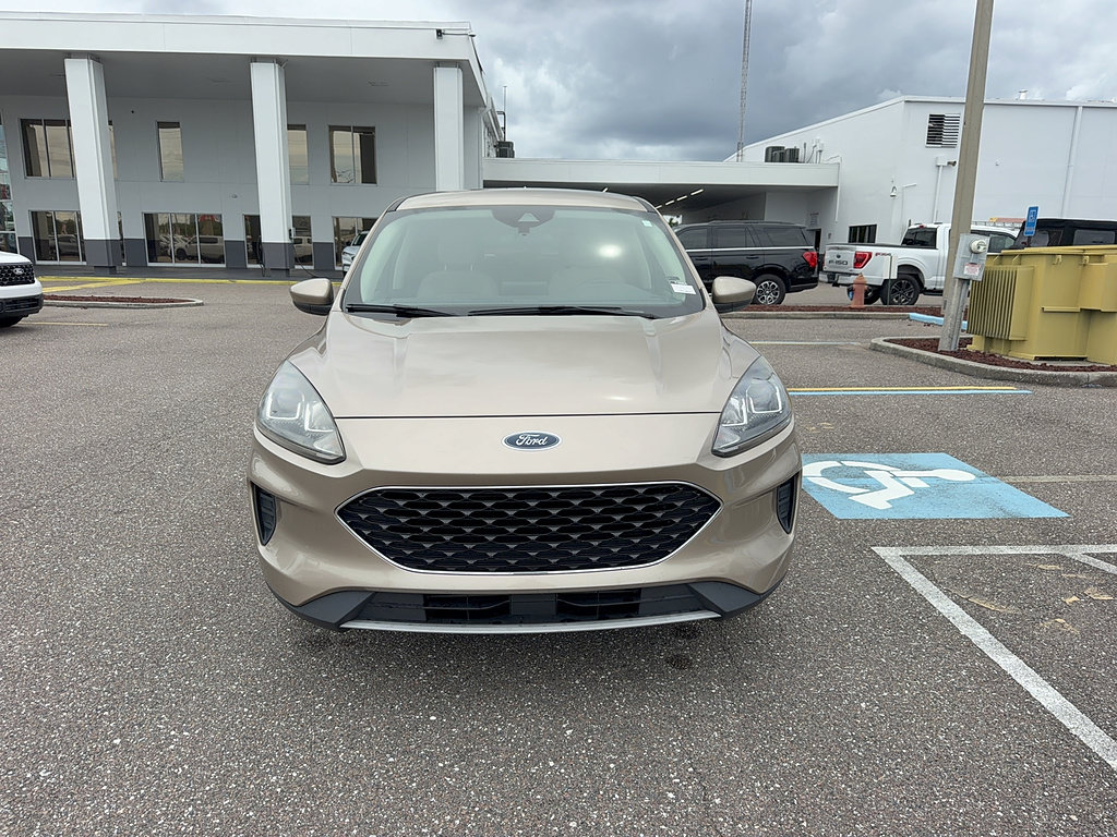 Used 2020 Ford Escape SE FWD image 3