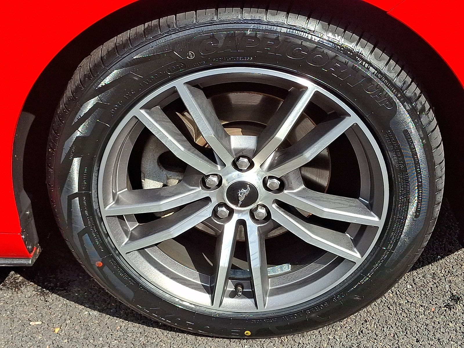 Used 2016 Ford Mustang Premium RWD image 10
